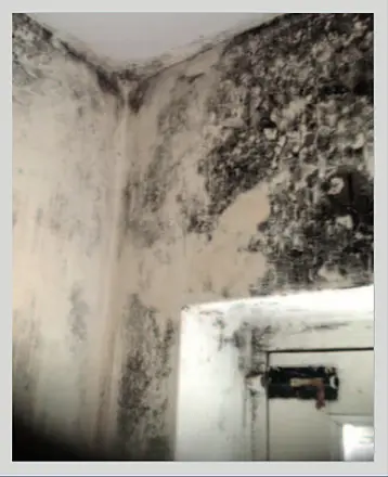 condensation on walls